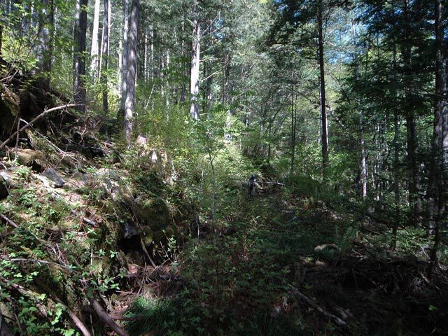 �����X�ѓS��,�ѓS,�p����,�ؑ]�X,�H��,����