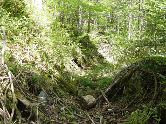 �����X�ѓS��,�ѓS,�p����,�ؑ]�X,�H��,����