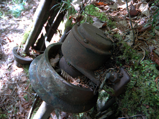 �����X�ѓS��,�ѓS,�p����,�ؑ]�X,���,�g���b�R