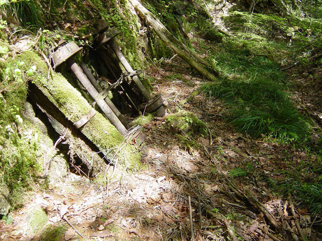 �����X�ѓS��,�ѓS,�p����,�ؑ]�X,���,�g���b�R