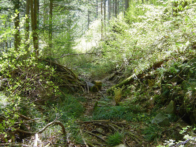 �����X�ѓS��,�ѓS,�p����,�ؑ]�X,����