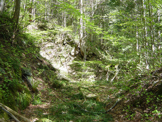 �����X�ѓS��,�ѓS,�p����,�ؑ]�X,����