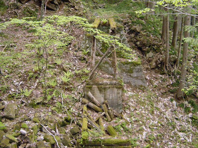 �����X�ѓS��,�ѓS,�p����,�ؑ]�X,�؋�,����傤