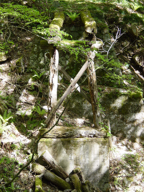 �����X�ѓS��,�ѓS,�p����,�ؑ]�X,�؋�,����傤