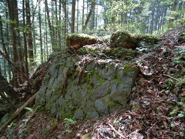 �����X�ѓS��,�ѓS,�p����,�ؑ]�X,�؋�,����