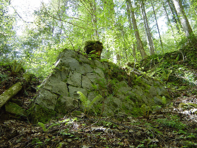 �����X�ѓS��,�ѓS,�p����,�ؑ]�X,�؋�,����