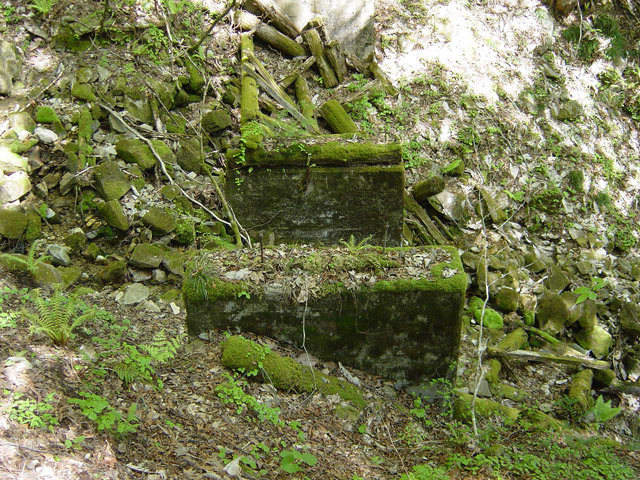 �����X�ѓS��,�ѓS,�p����,�ؑ]�X,�؋�,����