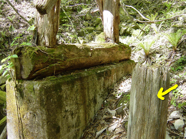 �����X�ѓS��,�ѓS,�p����,�؋�,�s�A,���r