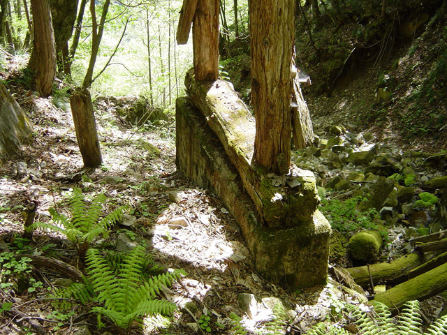 �����X�ѓS��,�ѓS,�p����,�؋�,�s�A,���r