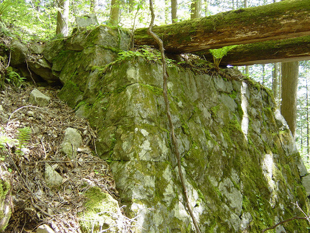 �����X�ѓS��,�ѓS,�p����,�؋�,�ؑ]�X,����