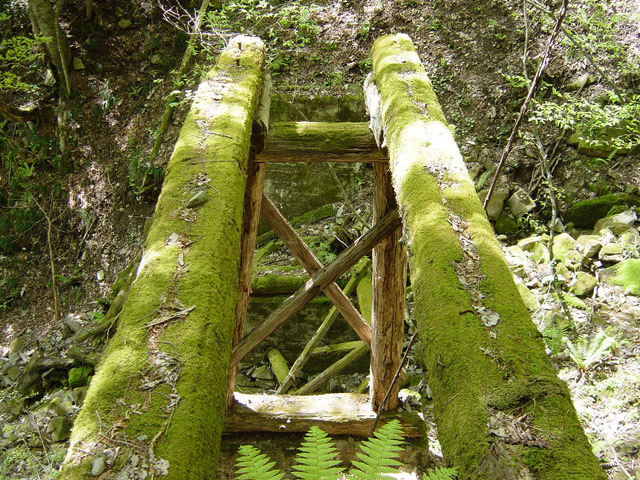 �����X�ѓS��,�ѓS,�p����,�؋�,�ؑ]�X,�،�