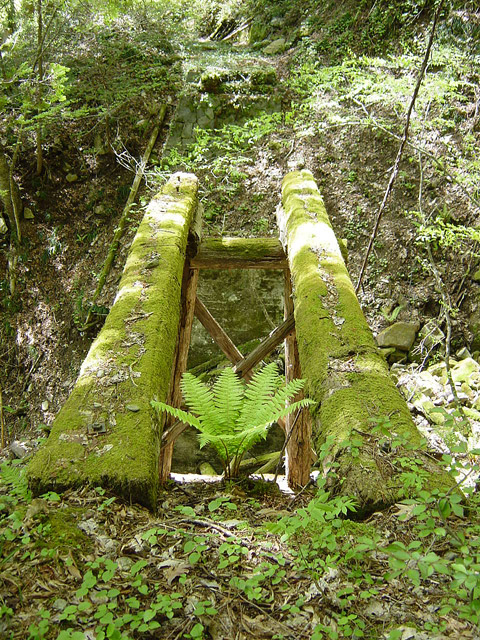 �����X�ѓS��,�ѓS,�p����,�؋�,�ؑ]�X,�包