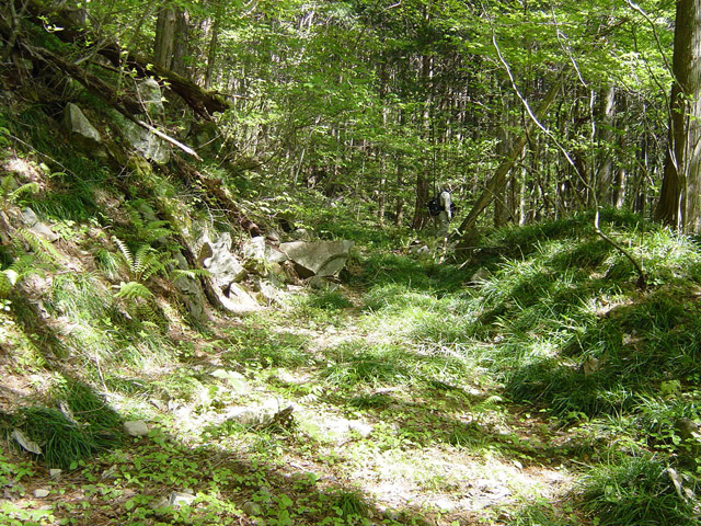 �����X�ѓS��,�ѓS,�p����,�ؑ]�X,�O����