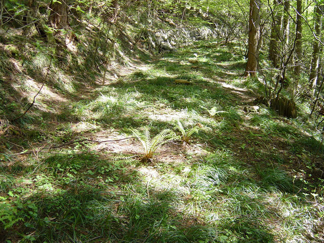 �����X�ѓS��,�ѓS,�p����,�ؑ]�X,�O����