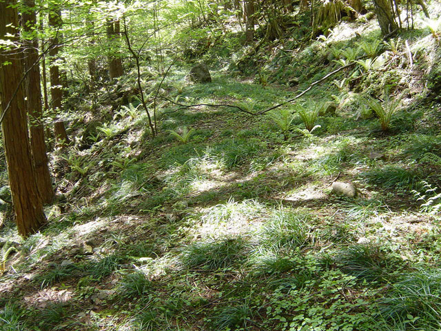 �����X�ѓS��,�ѓS,�p����,�ؑ]�X,�O����