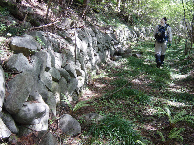 �����X�ѓS��,�ѓS,�p����,�ؑ]�X,�O����,�Ί_