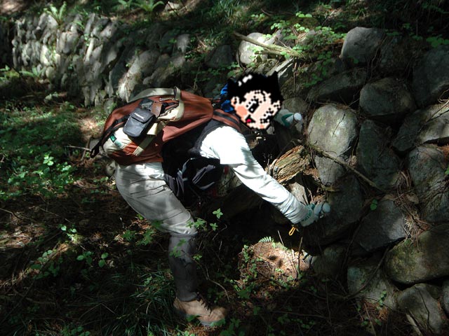 �����X�ѓS��,�ѓS,�p����,�V�q,�O����,�ʐM��