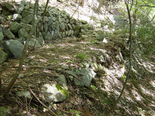 �����X�ѓS��,�ѓS,�p����,�O����,�Ί_