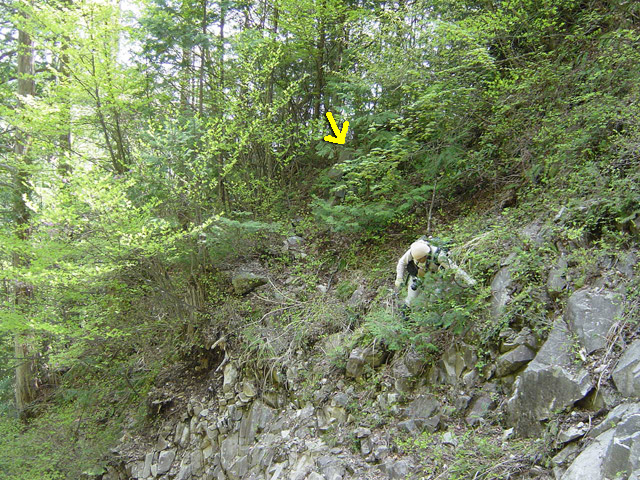 �����X�ѓS��,�ѓS,�p����,�O����,����,����,������