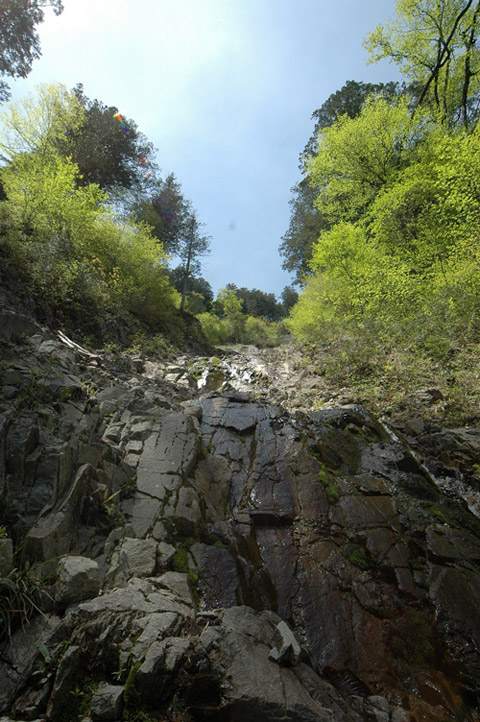 �����X�ѓS��,�ѓS,�p����,�O����,����,�����,������