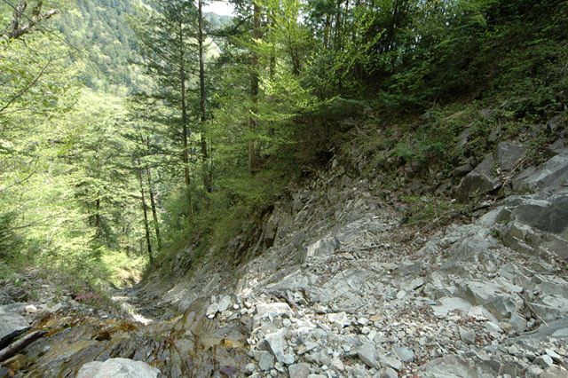 �����X�ѓS��,�ѓS,�p����,�O����,����,����,������