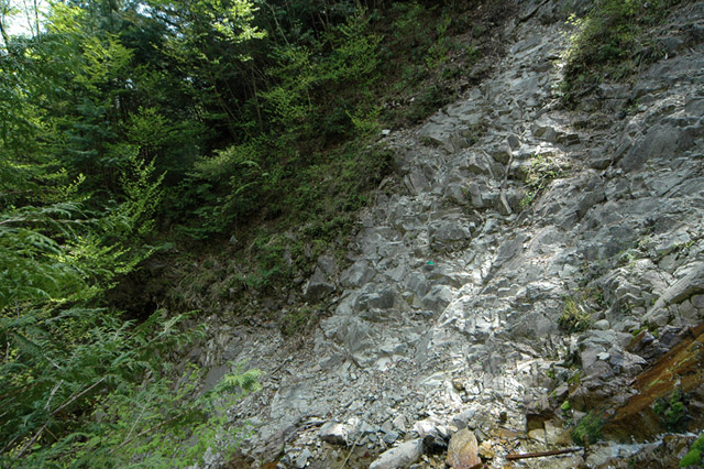 �����X�ѓS��,�ѓS,�p����,�O����,����,����,������