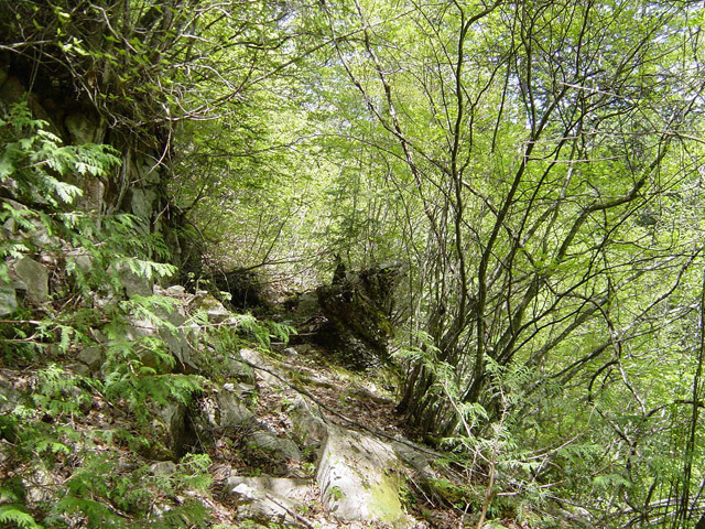 �����X�ѓS��,�ѓS,�p����,�O����,����,����