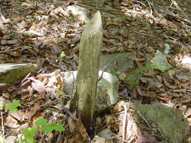 �����X�ѓS��,�ѓS,�p����,�O����,�Ȑ��W