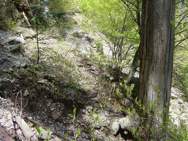 �����X�ѓS��,�ѓS,�p����,�O����,���[��,����,����