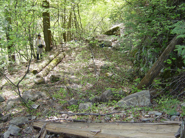 �����X�ѓS��,�ѓS,�p����,�O����,���[��,����,����