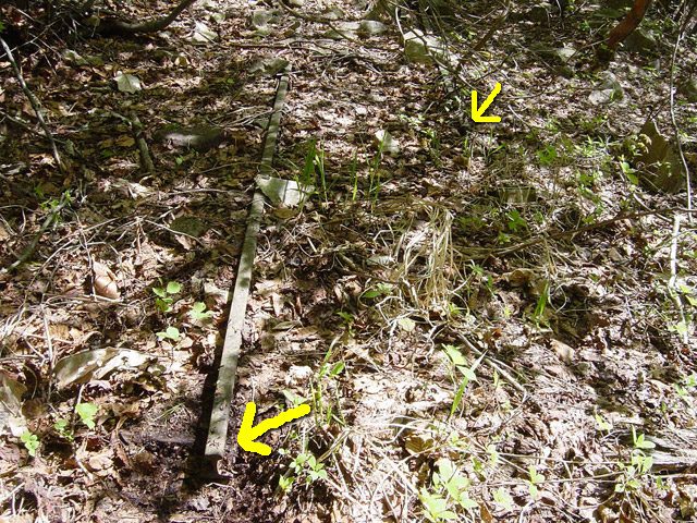 �����X�ѓS��,�ѓS,�p����,�O����,���[���c��,���H,�O��