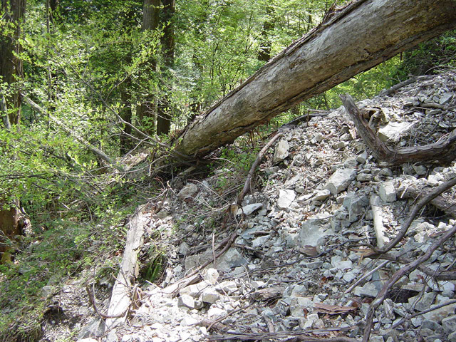 �����X�ѓS��,�ѓS,�p����,�O����,���[��,����,����,�ѓ�