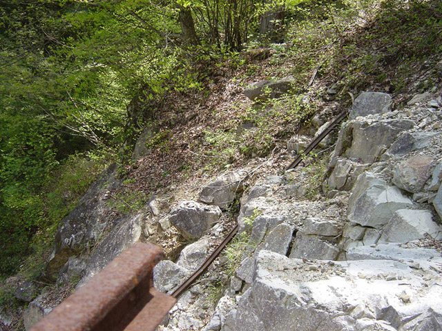 �����X�ѓS��,�ѓS,�p����,�O����,���[��,����,����,�ѓ�