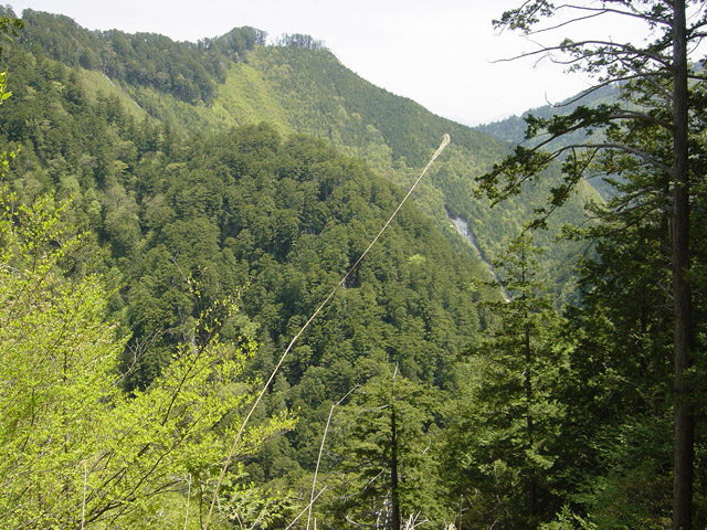 �����X�ѓS��,�ѓS,�p����,�O����,������