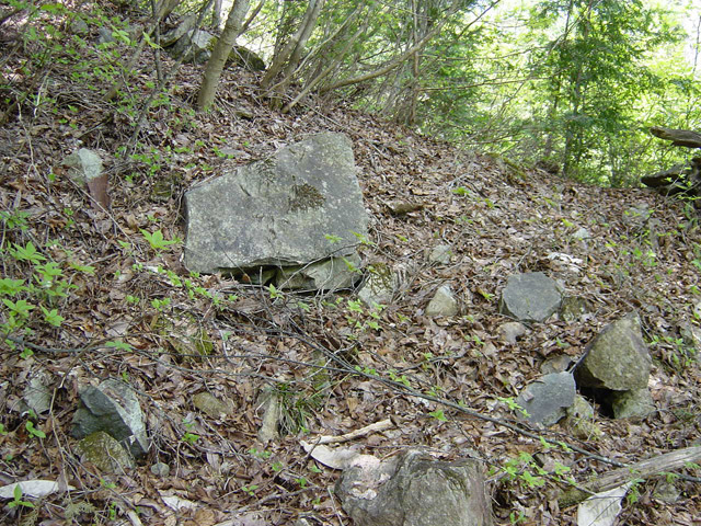 �����X�ѓS��,�ѓS,�p����,�O����,���[��,����,�ѓ�