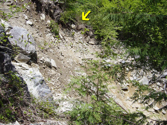 �����X�ѓS��,�ѓS,�p����,�O����,���[��,�O��,����