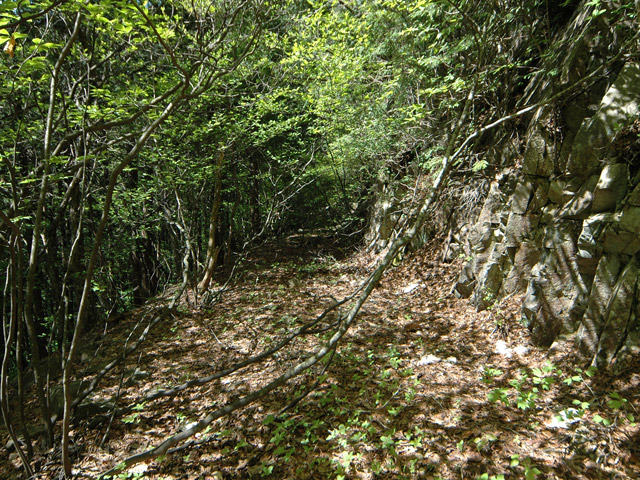 �����X�ѓS��,�ѓS,�p����,�O����,����,�ؑ]�X,����c�я�