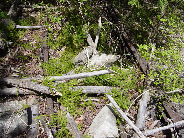 �����X�ѓS��,�ѓS,�p����,�O����,����,�O��