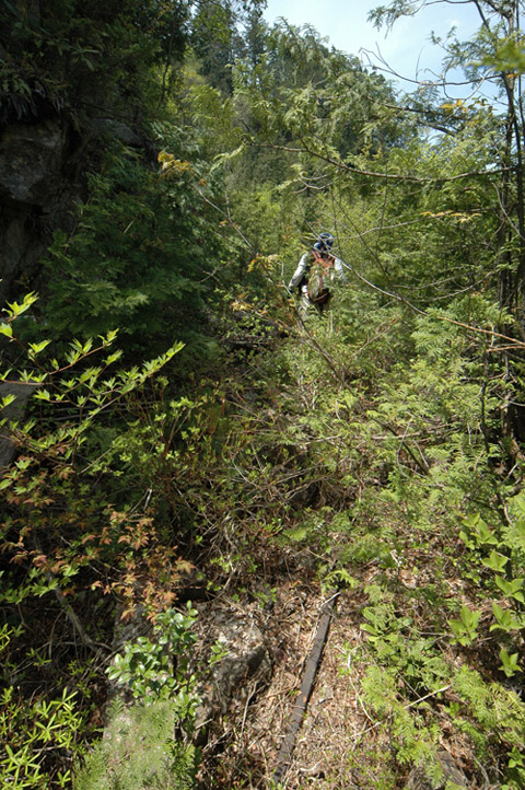 �����X�ѓS��,�ѓS,�p����,�O����,����,���[��