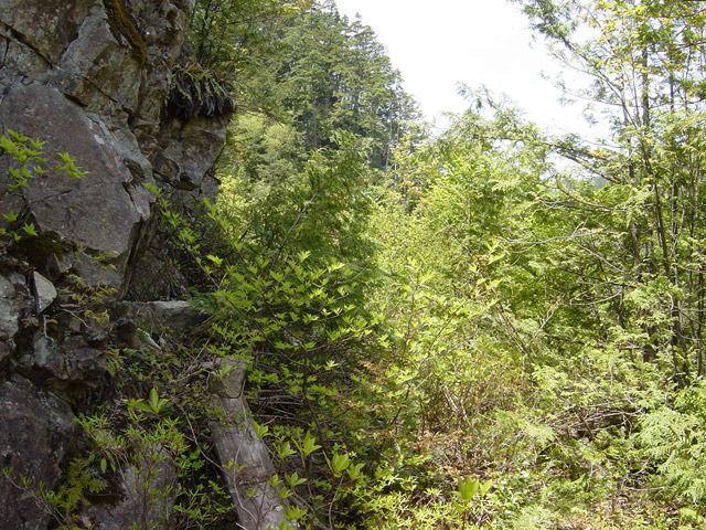 �����X�ѓS��,�ѓS,�p����,�O����,���i