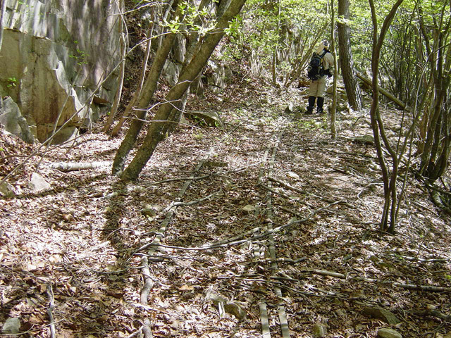 �����X�ѓS��,�ѓS,�p����,�O����,����,�ؑ]�X,����c�я�