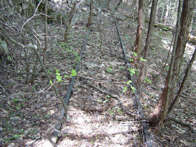 �����X�ѓS��,�ѓS,�p����,�O����,�O��,�c�u���[��,���H