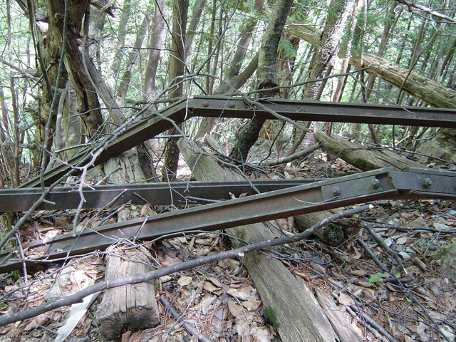 �����X�ѓS��,�ѓS,�p����,�O����,��������,�c�u���[��,�p�ڔ�