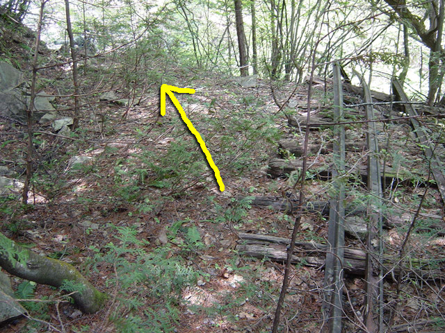 �����X�ѓS��,�ѓS,�p����,�O����,����,�c�u���[��,���H