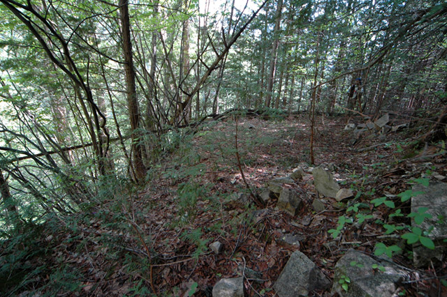 �����X�ѓS��,�ѓS,�p����,�O����,����,�c�u���[��,�ѓ�