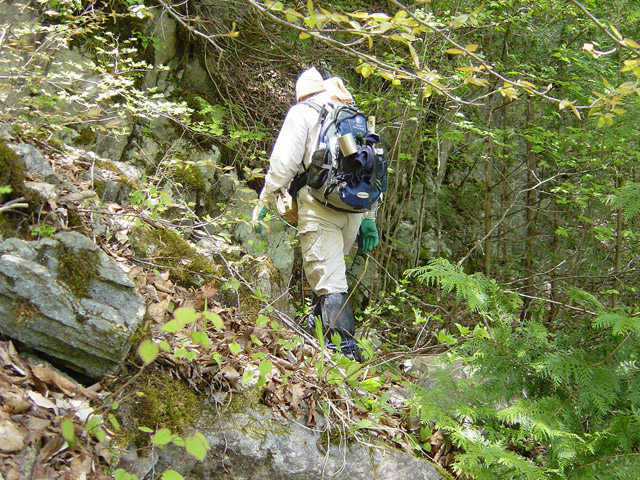 �����X�ѓS��,�ѓS,�p����,����c�я�,�O����,����