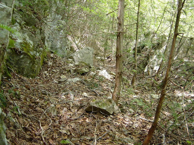 �����X�ѓS��,�ѓS,�p����,����c�я�,�O����,����