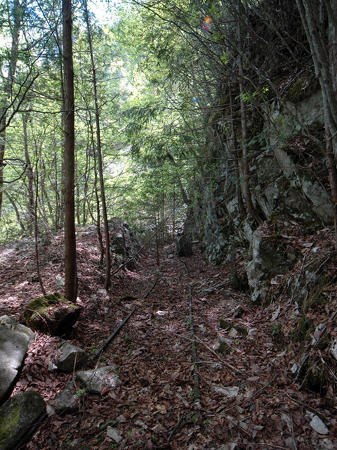 �����X�ѓS��,�ѓS,�p����,����c�я�,�O����,���[��,���H