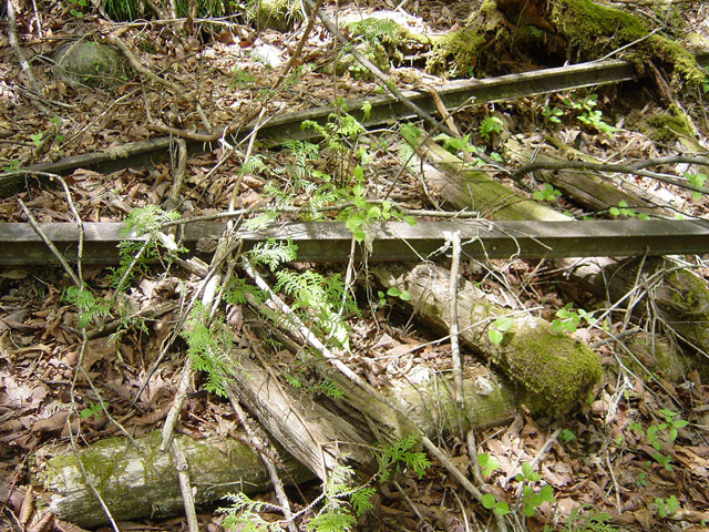 �����X�ѓS��,�ѓS,�p����,����c�я�,�O����,���[��,���H