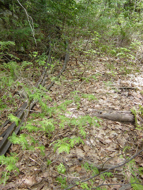 �����X�ѓS��,�ѓS,�p����,����c�я�,�O����,���[��,����